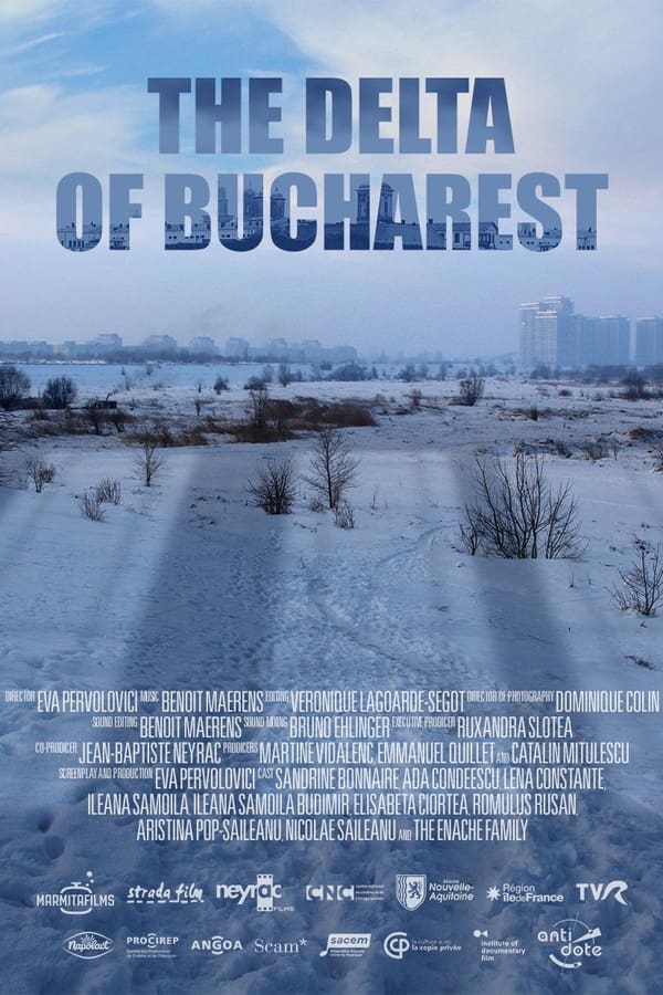 The Delta of Bucharest (2020) Thumbnail