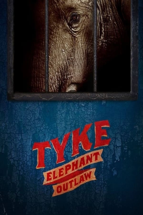 Tyke Elephant Outlaw (2015) Thumbnail