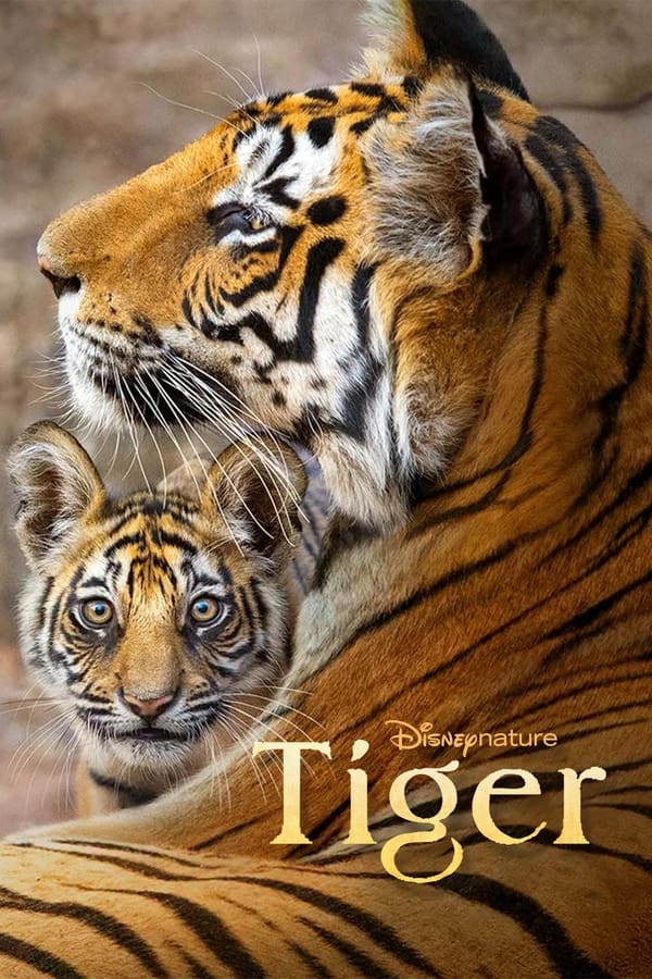 Tiger (2024) Thumbnail