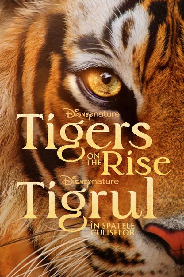 Tigers on the Rise (2024) Thumbnail